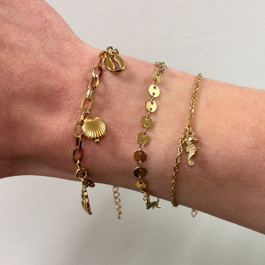 armband met zeepaardje