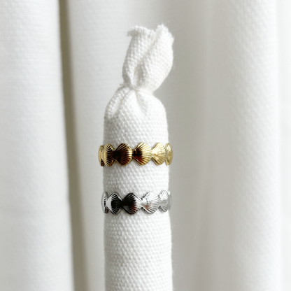 shells ring