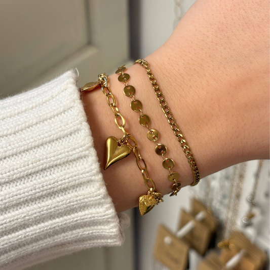 discs armband