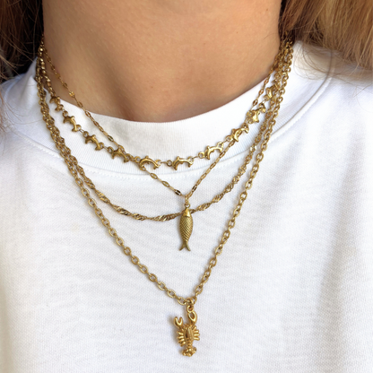 chain fish