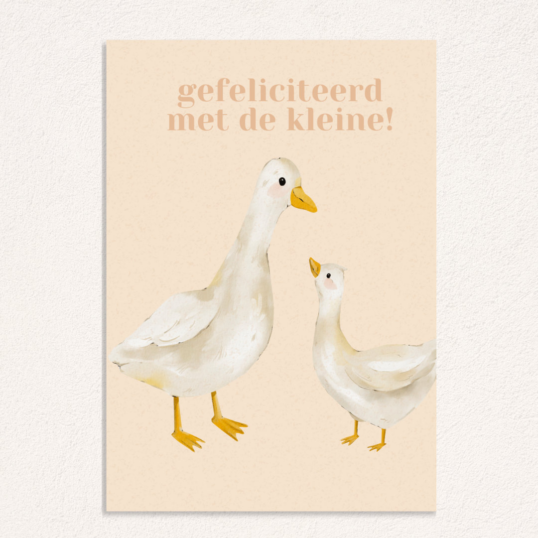 gefeliciteerd met de kleine! kaart