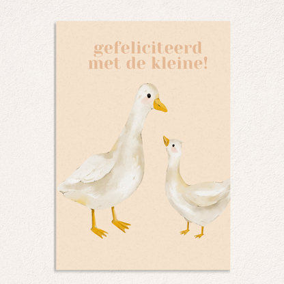 Congratulations on the little one! card