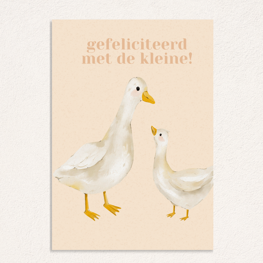 gefeliciteerd met de kleine! kaart