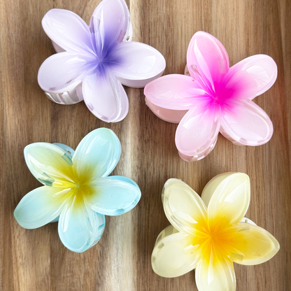 Sfeerfoto tropische kleurrijke haarclips