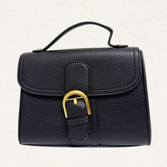 black handbag with gold clasp and shoulder strap
